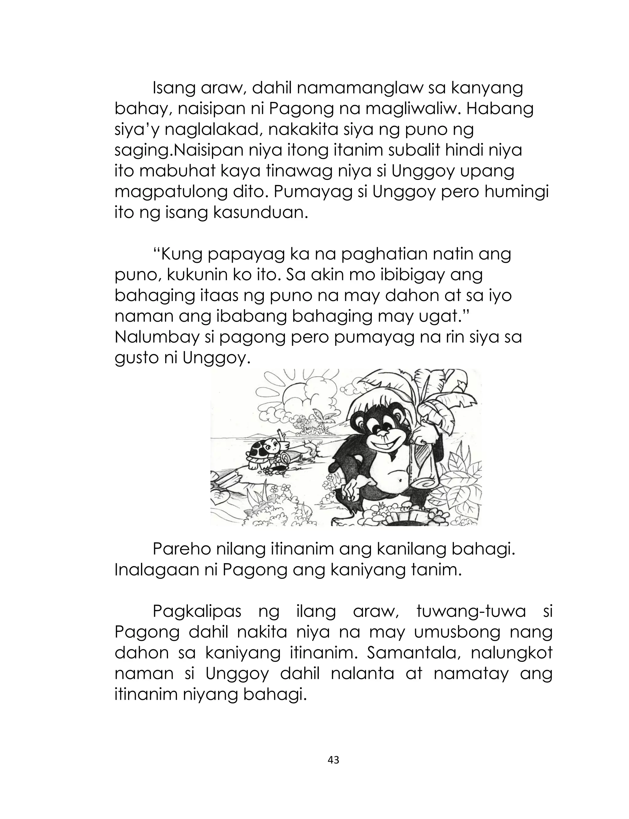 Isang araw, dahil namamanglaw sa kanyang
bahay, naisipan ni Pagong na magliwaliw. Habang
siya‟y naglalakad, nakakita siya ng puno ng
saging.Naisipan niya itong itanim subalit hindi niya
ito mabuhat kaya tinawag niya si Unggoy upang
magpatulong dito. Pumayag si Unggoy pero humingi
ito ng isang kasunduan.
“Kung papayag ka na paghatian natin ang
puno, kukunin ko ito. Sa akin mo ibibigay ang
bahaging itaas ng puno na may dahon at sa iyo
naman ang ibabang bahaging may ugat.”
Nalumbay si pagong pero pumayag na rin siya sa
gusto ni Unggoy.

Pareho nilang itinanim ang kanilang bahagi.
Inalagaan ni Pagong ang kaniyang tanim.
Pagkalipas ng ilang araw, tuwang-tuwa si
Pagong dahil nakita niya na may umusbong nang
dahon sa kaniyang itinanim. Samantala, nalungkot
naman si Unggoy dahil nalanta at namatay ang
itinanim niyang bahagi.

43

 