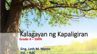 Kalagayan ng Kapaligiran
Grade 4 – SMN
Gng. Leth M. Marco
SSC – RdC
 