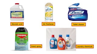 Muriatic acid Air freshener Toilet cleaner
Insect spray Laundry chemicals
 