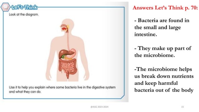 Gr.6 - Science - Ch1 L10 - The Importance of Bacteria.pdf | Digestive ...