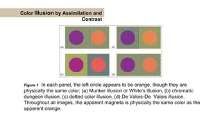 GR. 3_ Color Illusion Presentation for Architectural Interior Subject.pptx