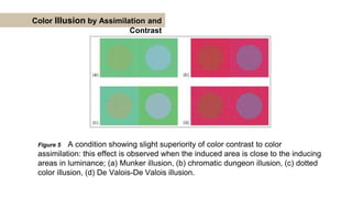 GR. 3_ Color Illusion Presentation for Architectural Interior Subject.pptx