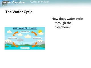 Matter Cycle Example Gr.10 Biology L.4.3 ppt Cycles Of Matter Biology Book | PPTX