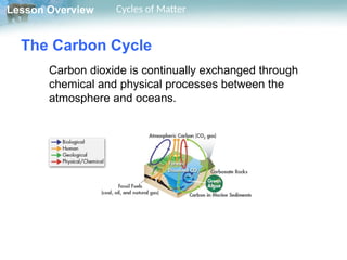 Matter Cycle Example Gr.10 Biology L.4.3 ppt Cycles Of Matter Biology Book | PPTX
