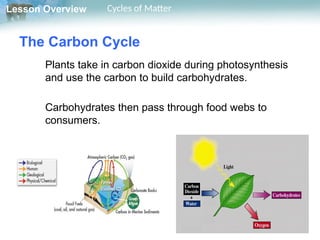 Matter Cycle Example Gr.10 Biology L.4.3 ppt Cycles Of Matter Biology Book | PPTX