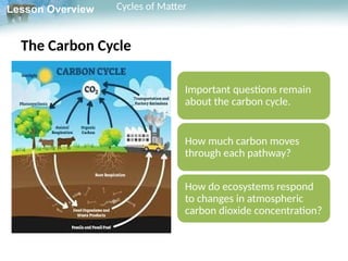 Matter Cycle Example Gr.10 Biology L.4.3 ppt Cycles Of Matter Biology Book | PPTX