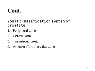Zonal Classification Comprehensive Approach to Acute Urinary Retention: Causes, Anatomy, and ...