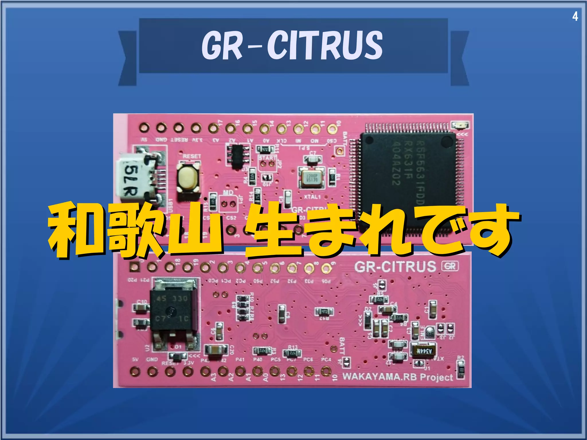 4
GR-CITRUS
和歌山 生まれです和歌山 生まれです
 