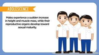 Malesexperienceasuddenincrease
inheightandmusclemass,whiletheir
reproductiveorgansdeveloptoward
sexualmaturity.
ADOLESCENCE
ADOLESCENCE
 