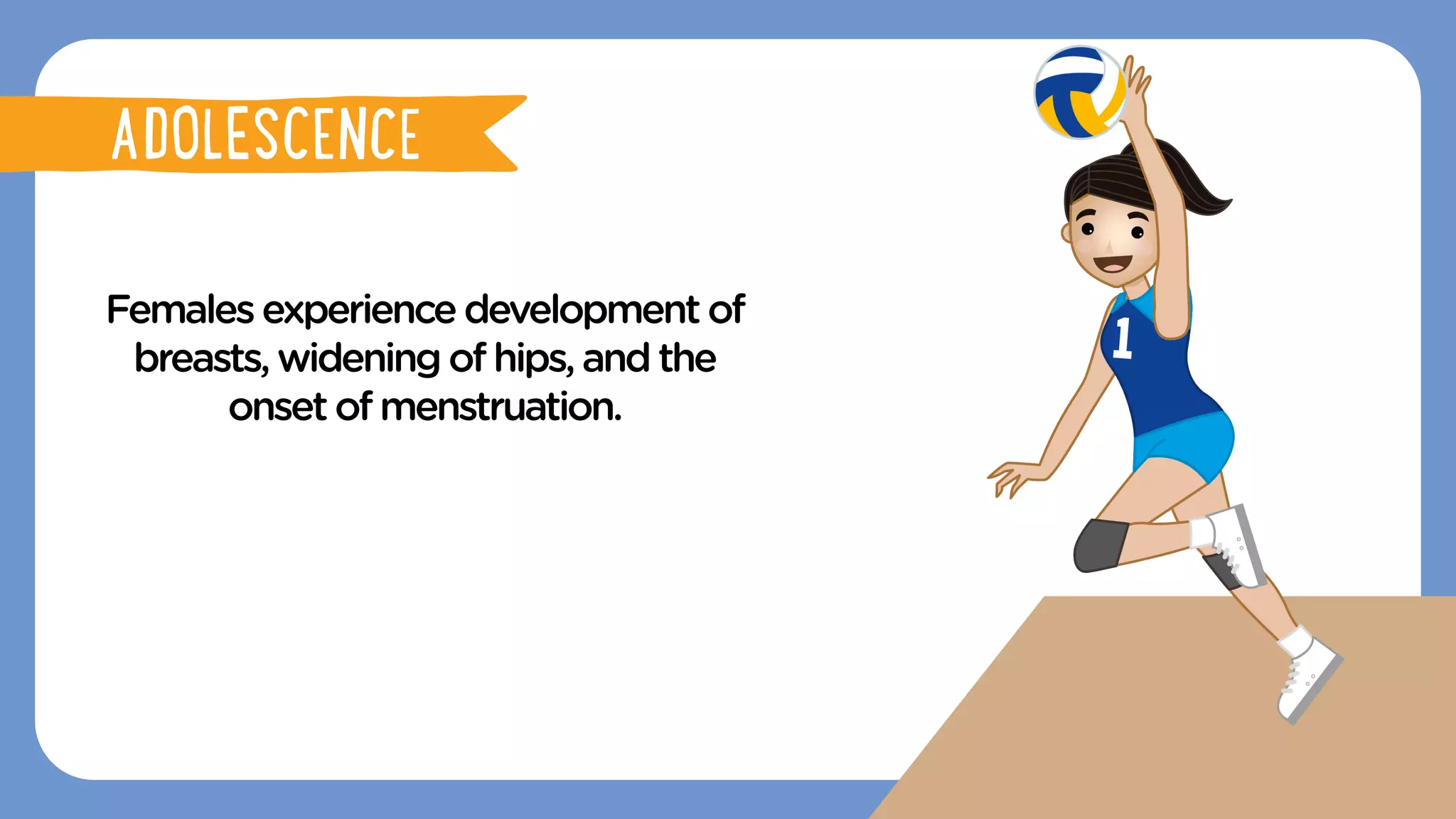 Femalesexperiencedevelopmentof
breasts,wideningof hips,andthe
onsetof menstruation.
ADOLESCENCE
ADOLESCENCE
 