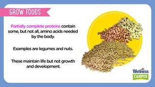 Partiallycompleteproteinscontain
some,butnotall,aminoacidsneeded
by thebody.
Examplesarelegumes andnuts.
Thesemaintainlife butnotgrowth
anddevelopment.
GROW FOODS
 
