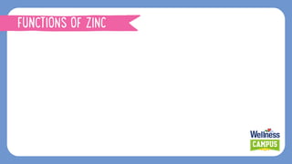 FUNCTIONS OF ZINC
 