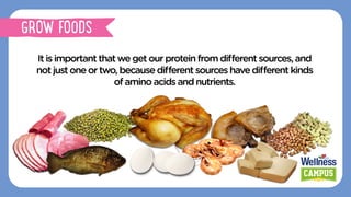Itisimportantthatwe getour proteinfromdiﬀerentsources, and
notjustoneortwo,becausediﬀerentsourceshavediﬀerentkinds
ofamino acidsandnutrients.
GROW FOODS
 