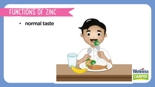 FUNCTIONS OF ZINC
•  normal taste
 