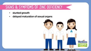 SIGNS & SYMPTOMS OF ZINC DEFICIENCY
•  stuntedgrowth
•  delayedmaturationofsexualorgans
•  stuntedgrowth
 