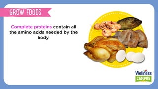 Complete proteins contain all
the amino acids needed by the
body.
GROW FOODS
 