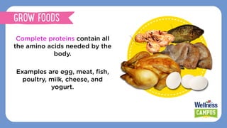 Complete proteins contain all
the amino acids needed by the
body.
Examples are egg, meat, ﬁsh,
poultry, milk, cheese, and
yogurt.
GROW FOODS
 