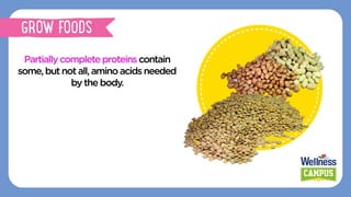 Partiallycompleteproteinscontain
some,butnotall,aminoacidsneeded
by thebody.
GROW FOODS
 