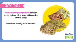 Partiallycompleteproteinscontain
some,butnotall,aminoacidsneeded
by thebody.
Examplesarelegumes andnuts.
GROW FOODS
 