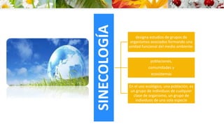 SINECOLOGÍA 
designa estudios de grupos de 
organismos asociados formando una 
unidad funcional del medio ambiente. 
poblaciones, 
comunidades y 
ecosistemas 
En el uso ecológico, una población, es 
un grupo de individuos de cualquier 
clase de organismo, un grupo de 
individuos de una sola especie 
 