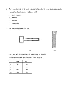 1
1 The concentration of nitrate ions in a root cell is higher than in the surroundingsoil solution.
How do the nitrate ions move into the root cell?
A active transport
B diffusion
C osmosis
D transpiration
2 The diagram shows twoplant cells.
cell X cell Y
Plant cells become turgid when they take up water by osmosis.
In which of thesecells does being turgid provide support?
cell X cell Y
A
B
C
D
no
no
yes
yes
no
yes
no
yes
 