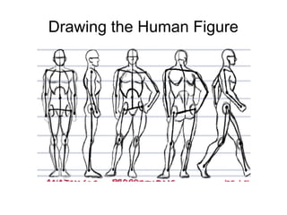 Drawing the Human Figure
 