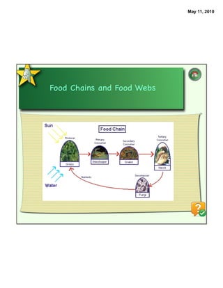 May 11, 2010




Food Chains and Food Webs
 