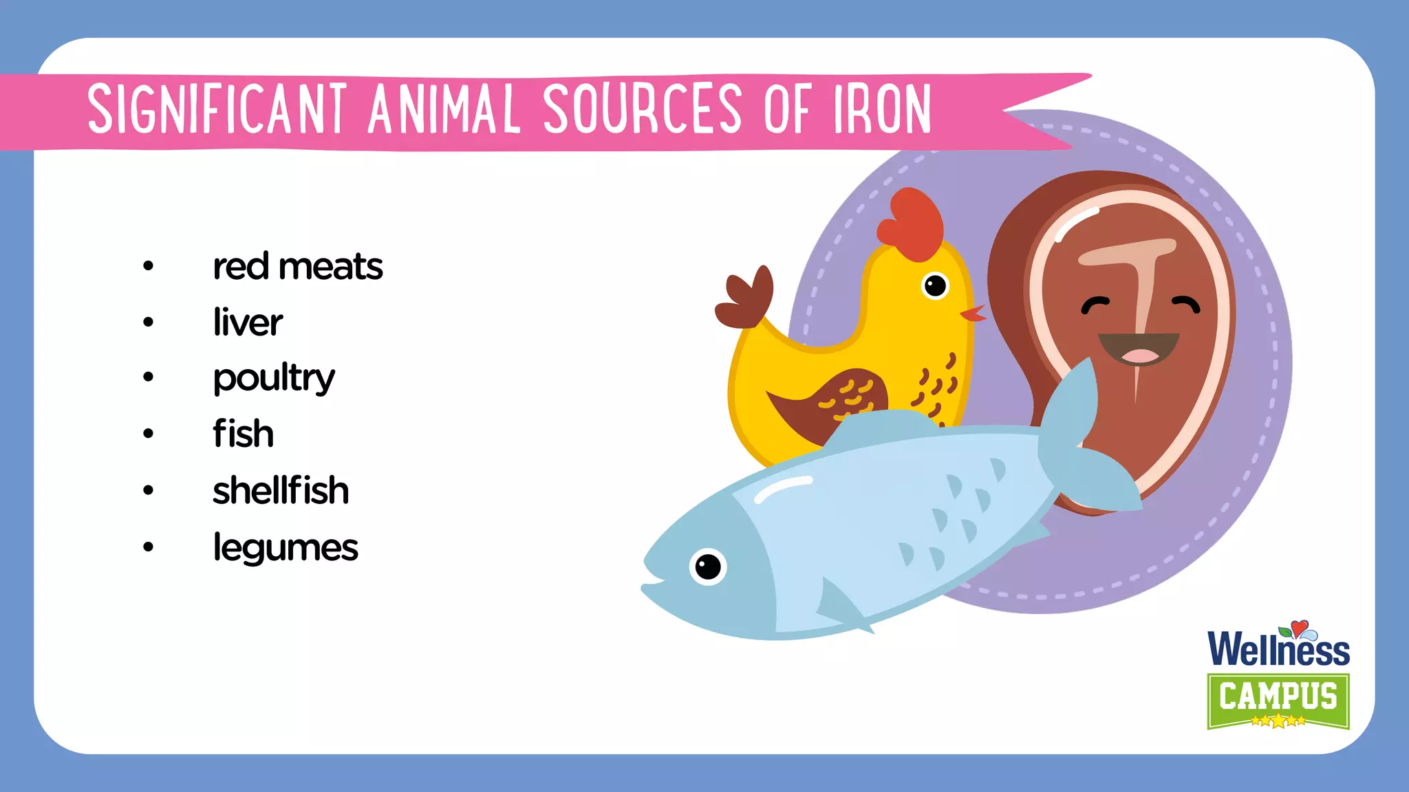 •  redmeats
•  liver
•  poultry
•  ﬁsh
•  shellﬁsh
•  legumes
SIGNIFICANT ANIMAL SOURCES OF IRON
 