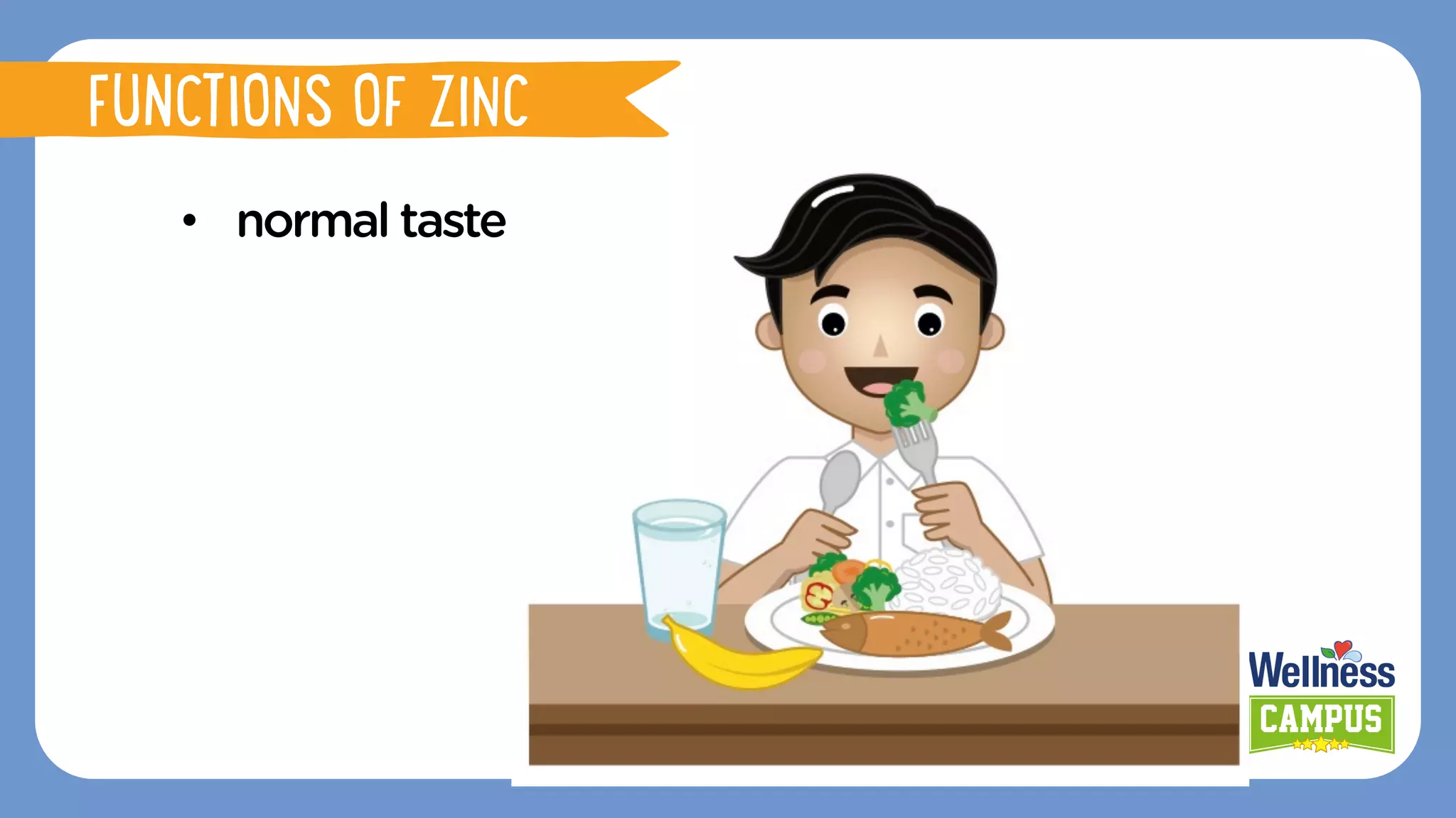 •  normal taste
FUNCTIONS OF ZINC
 