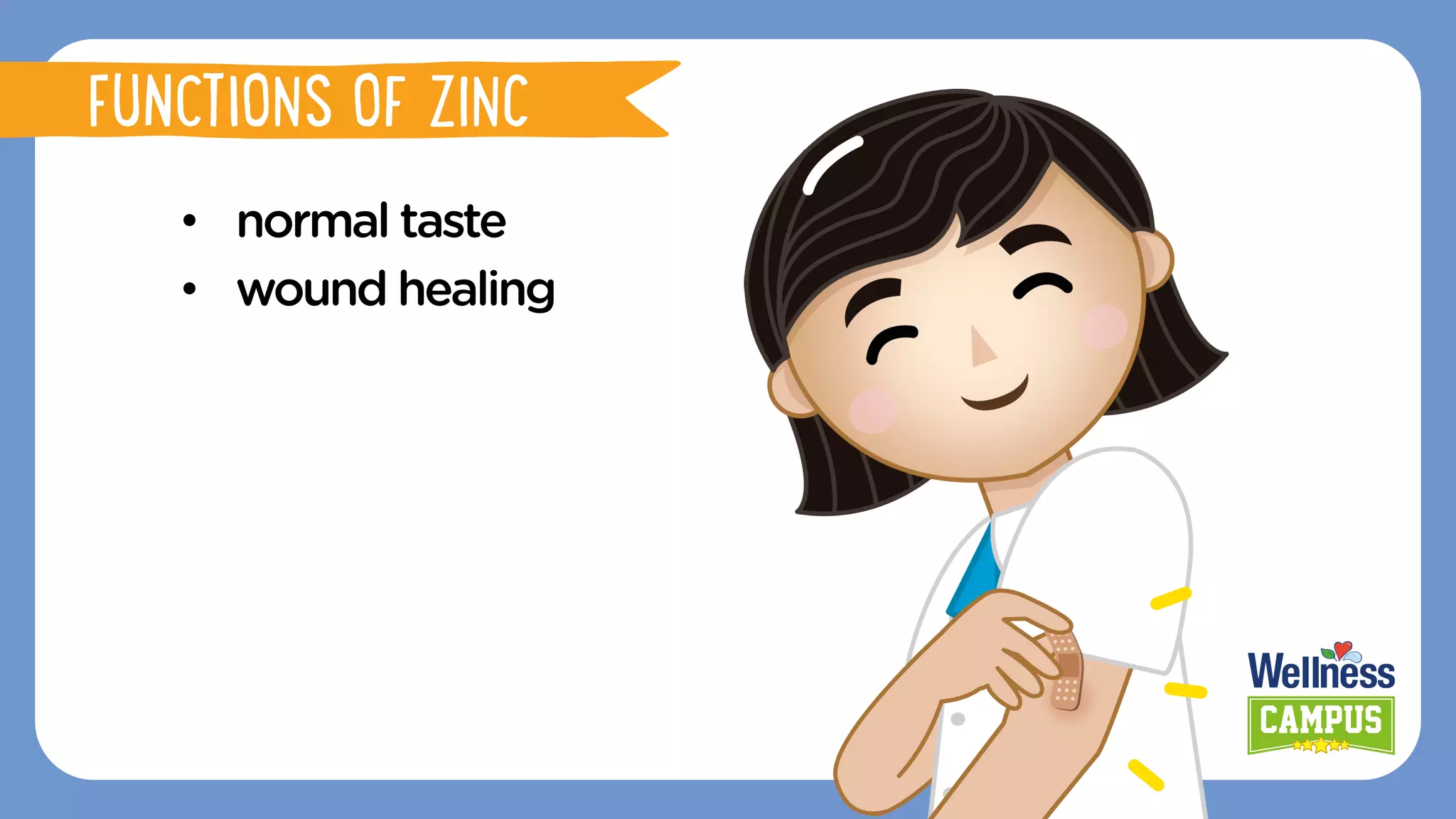 •  normal taste
•  wound healing
FUNCTIONS OF ZINC
 