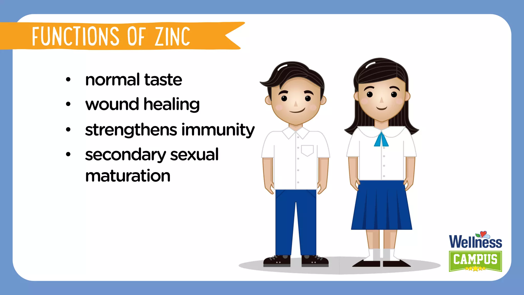 •  normal taste
•  wound healing
•  strengthens immunity
•  secondary sexual
maturation
FUNCTIONS OF ZINC
 