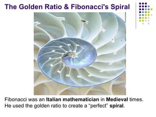 The Golden Ratio & Fibonacci's Spiral

Fibonacci was an Italian mathematician in Medieval times.
He used the golden ratio to create a “perfect” spiral.

 