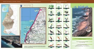 CABO RASO
CABO DA ROCA
MALVEIRA DA SERRA
PENINHA
PRAIA GRANDE
SINTRA
OCEANOATLÃNTICO
ESTORIL
CASCAIS
PRAIA DO MAGOITO
GUINCHO
Acácia
Eucalipto Miosótis-das-praias Pinheiro-bravo
SalgadeiraPinheiro-manso Roselha
Cravinha Estorno
PERCURSO RASO / ABANO
PARQUE NATURAL
DE SINTRA - CASCAIS
FICHA TÉCNICA: TEXTO: PNSC - ILUSTRAÇÕES: ALFREDO DA CONCEIÇÃO, MARCO CORREIA, MARCOS OLIVEIRA, NUNO FARINHA e
PEDRO SALGADO - FOTOS : FERNANDO CORREIA, DÁLIA LOURENÇO, JOÃO ALVES, JOÃO LUIS DÓRIA, MANUELA MARCELINO, RUI
CUNHA e JUNTA DE TURISMO DA COSTA DO ESTORIL
PARQUE NATURAL DE SINTRA - CASCAIS TROÇO MAÇÃS-MAGOITO ALGUMAS ESPÉCIES OBSERVÁVEIS NO
PERCURSO
Azenhas do Mar
Duna Consolidada
Magoito
Arriba
Tojo-gatunho Cobra-de-escada Lagarto
Àguia-de-asa-redonda
Peneireiro-comum
Doninha
Pisco-de-peito-ruivo
Raposa Toirão
Coelho-bravo
Falcão-peregrino
Para mais informações sobre outros Percursos
disponíveis, contacte :
Parque Natural de Sintra Cascais
Tel.: 21 924 72 00
Câmara Municipal de Sintra
Divisão de Desporto - Tel.: 21 923 61 42
Posto de Turismo de Sintra - Tel.: 21 923 11 57
 