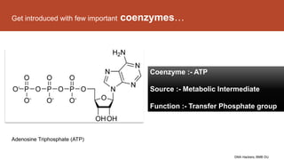 Get introduced with few important coenzymes…
Adenosine Triphosphate (ATP)
DNA Hackers, BMB DU
Coenzyme :- ATP
Source :- Metabolic Intermediate
Function :- Transfer Phosphate group
 