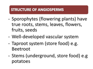 Gr 11 plant_diversity_eng[1] | PDF