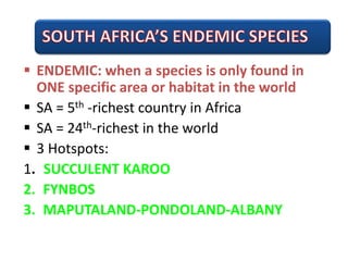 Gr 11 plant_diversity_eng[1] | PDF