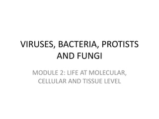 VIRUSES, BACTERIA, PROTISTS
AND FUNGI
MODULE 2: LIFE AT MOLECULAR,
CELLULAR AND TISSUE LEVEL
 
