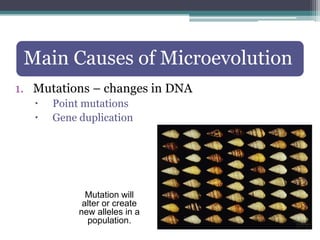 Evolutionary Biology.ppt