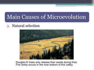 Evolutionary Biology.ppt
