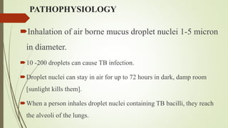 PATHOPHYSIOLOGY
Inhalation of air borne mucus droplet nuclei 1-5 micron
in diameter.
10 -200 droplets can cause TB infection.
Droplet nuclei can stay in air for up to 72 hours in dark, damp room
[sunlight kills them].
When a person inhales droplet nuclei containing TB bacilli, they reach
the alveoli of the lungs.
 
