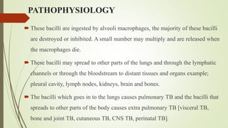 PATHOPHYSIOLOGY
 These bacilli are ingested by alveoli macrophages, the majority of these bacilli
are destroyed or inhibited. A small number may multiply and are released when
the macrophages die.
 These bacilli may spread to other parts of the lungs and through the lymphatic
channels or through the bloodstream to distant tissues and organs example;
pleural cavity, lymph nodes, kidneys, brain and bones.
 The bacilli which goes in to the lungs causes pulmonary TB and the bacilli that
spreads to other parts of the body causes extra pulmonary TB [visceral TB,
bone and joint TB, cutaneous TB, CNS TB, perinatal TB].
 