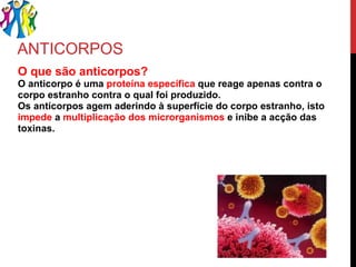 ANTICORPOS O que são anticorpos? O anticorpo é uma  proteína específica  que reage apenas contra o corpo estranho contra o qual foi produzido. Os anticorpos agem aderindo à superfície do corpo estranho, isto  impede  a  multiplicação dos microrganismos  e inibe a acção das toxinas. 