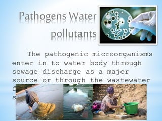 Water Environment | PPTX