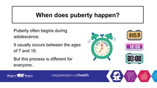 When does puberty happen?
Puberty often begins during
adolescence.
It usually occurs between the ages
of 7 and 18.
But this process is different for
everyone.
 