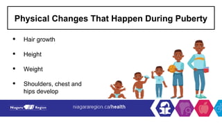 Physical Changes That Happen During Puberty
• Hair growth
• Height
• Weight
• Shoulders, chest and
hips develop
 