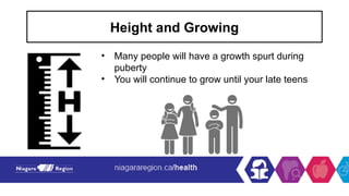 Height and Growing
• Many people will have a growth spurt during
puberty
• You will continue to grow until your late teens
 