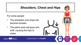 Shoulders, Chest and Hips
For some people:
• The shoulders and chest will
become broader
• The pelvic area will grow and
shift, causing the hips to
widen
 