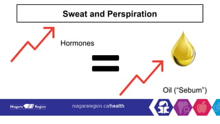 Sweat and Perspiration
Hormones
Oil (“Sebum”)
 