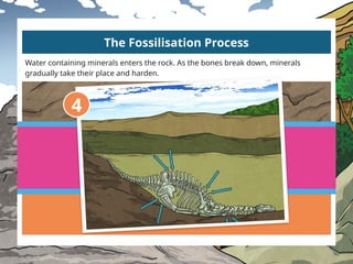 gr4_topc6_L1 Patterns in fossils and rock formation.pptx