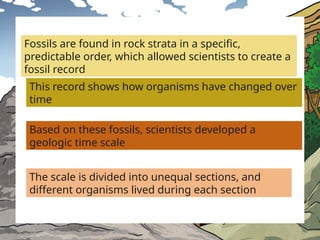 Fossils Math Pattern gr4_topc6_L1 Patterns in fossils and rock formation.pptx